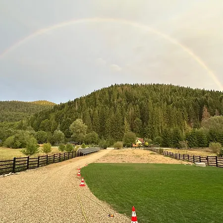 Orman Evi Panoramic Kub Sucevita